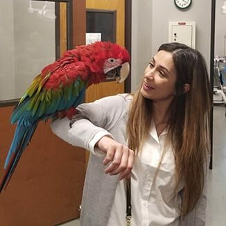 Referring Vets in Grapevine: Veterinarian Carrying Bird